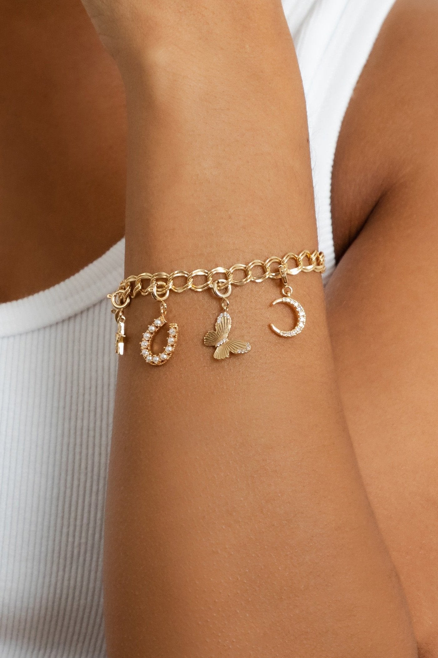Butterfly Clip On Charm